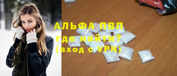 PSILOCYBIN Бородино