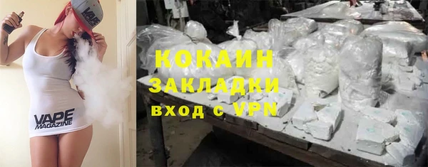 PSILOCYBIN Бородино