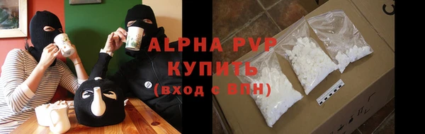 PSILOCYBIN Бородино