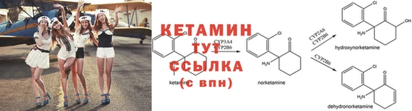 PSILOCYBIN Бородино