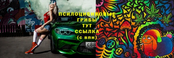 PSILOCYBIN Бородино